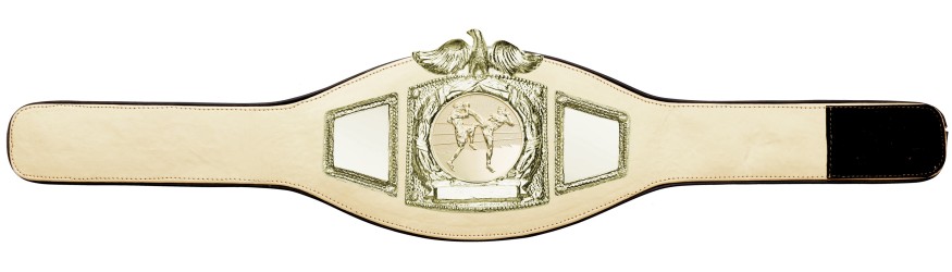 PROEAGLE THAI BOXING CHAMPIONSHIP BELT - PROEAGLE/G/TBOG - AVAILABLE IN 6+ COLOURS PROEAGLE THAI BOXING CHAMPIONSHIP BELT - PROEAGLE/G/TBOG - AVAILABLE IN 6+ COLOURS